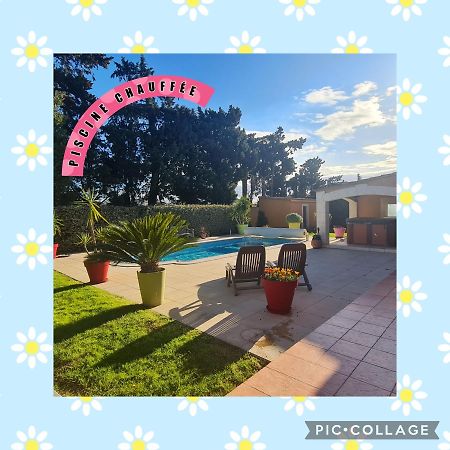 Villa Flamenca - Piscine Chauffee Châteaurenard Dış mekan fotoğraf